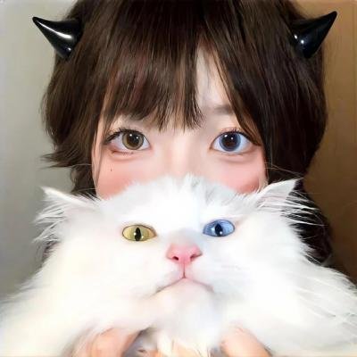 英雄虎胆
