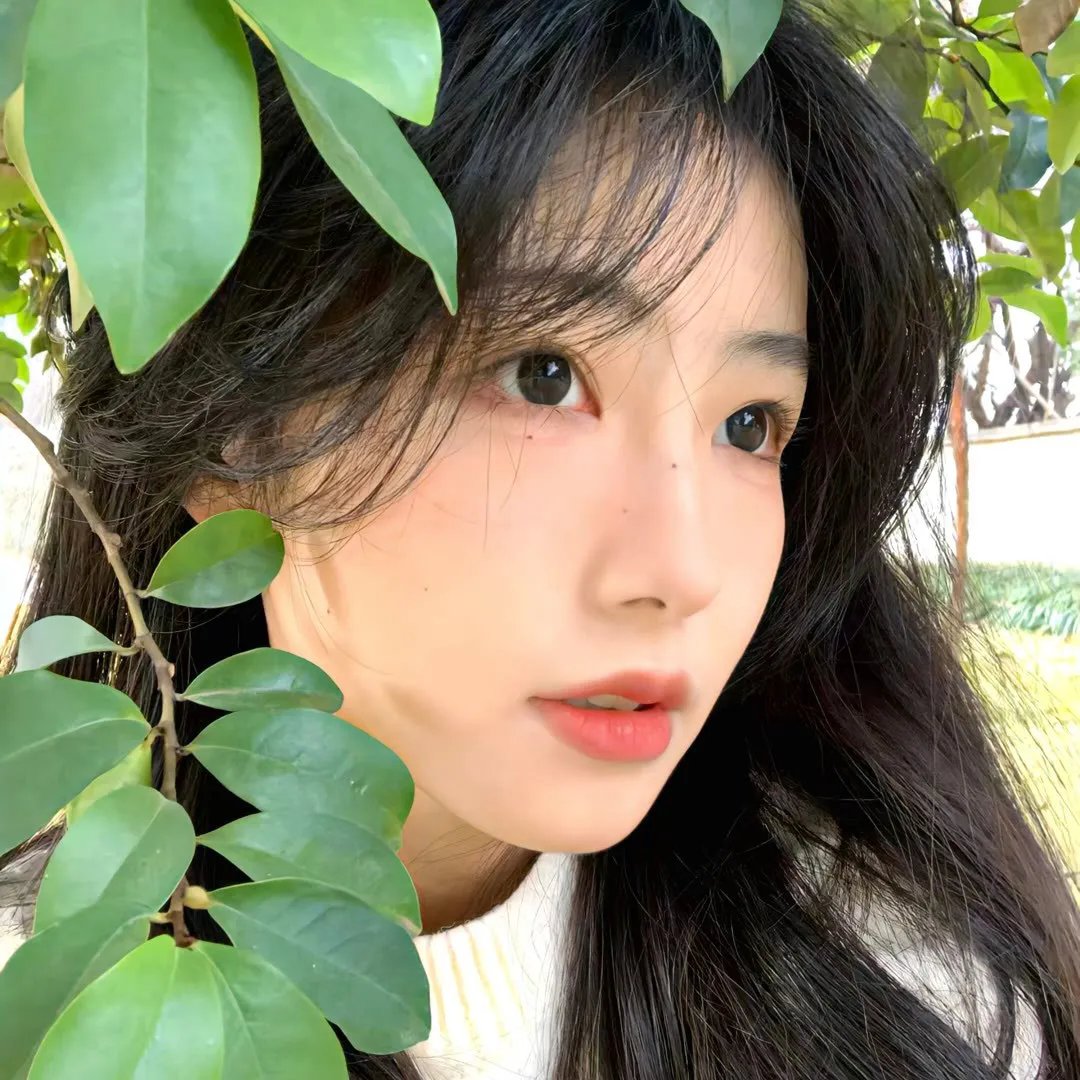 宫锁珠帘